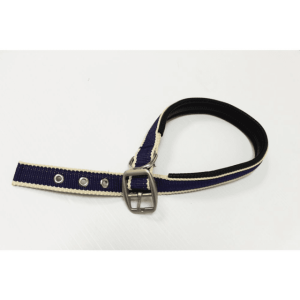 Amigo Dog Collar
